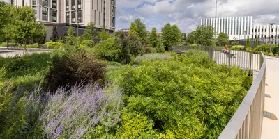 Project Showcase: University of Chicago Campus South