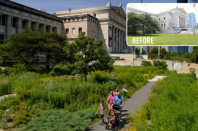 Near South Planning Board Neighborhood Beautification Award