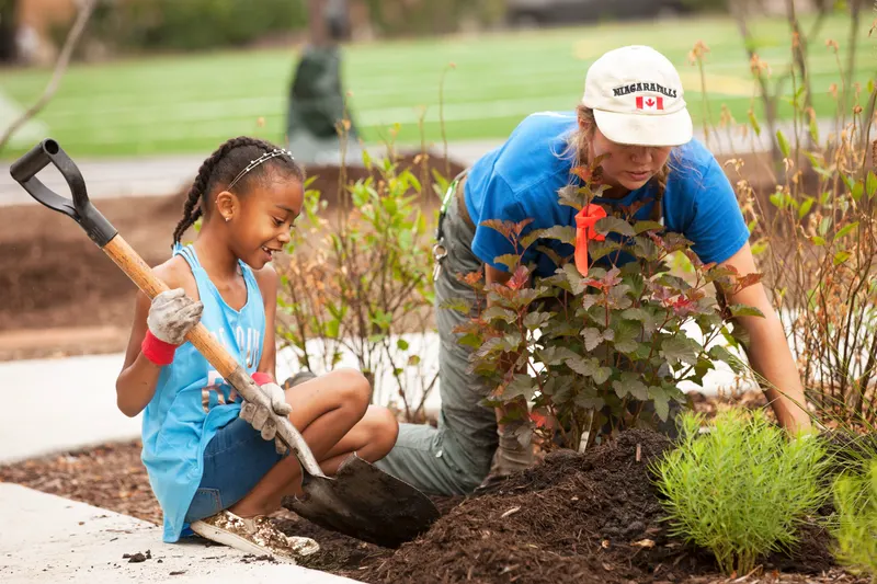 Cook planting site design group