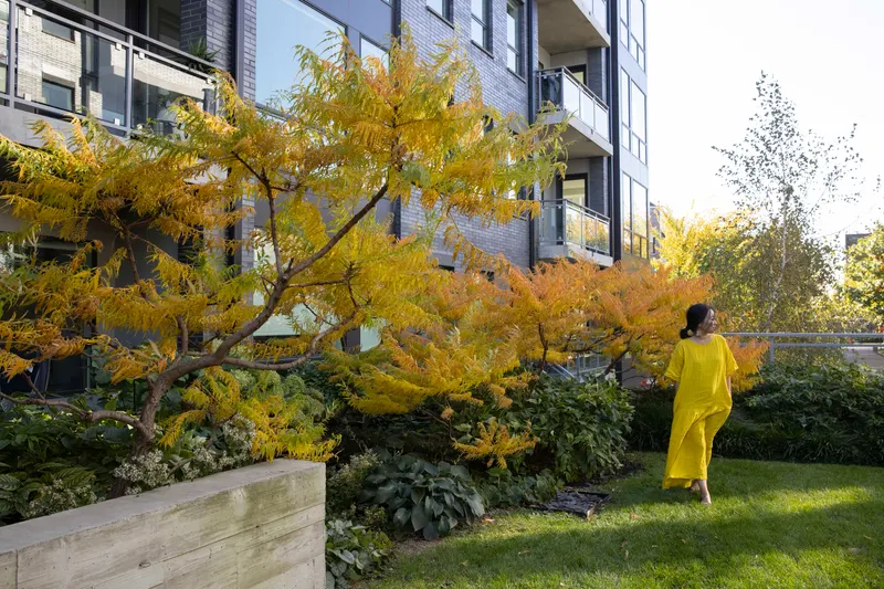Norweta housing fall colors site design group