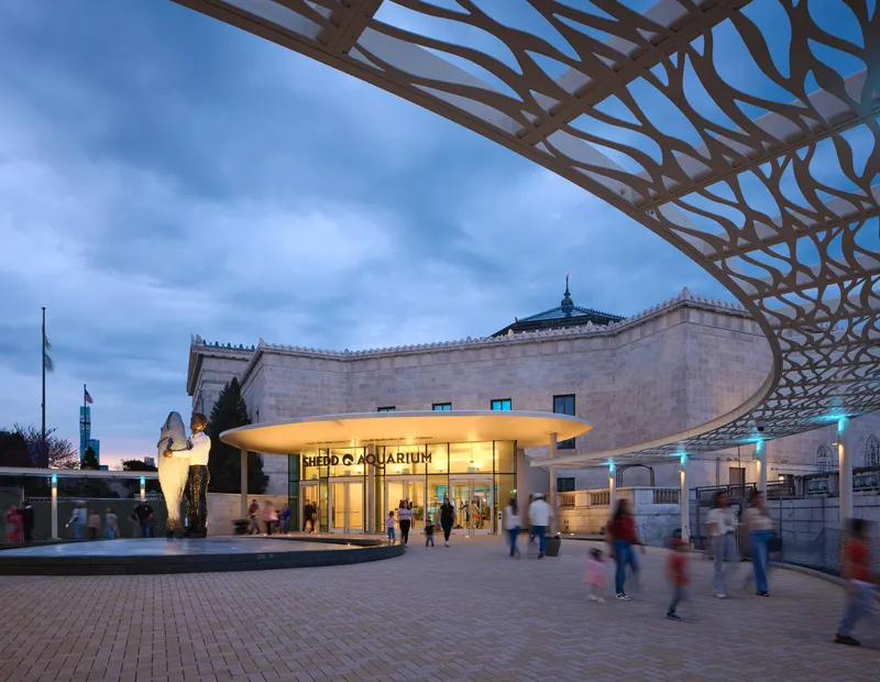 Shedd aquarium entrance night view site design group