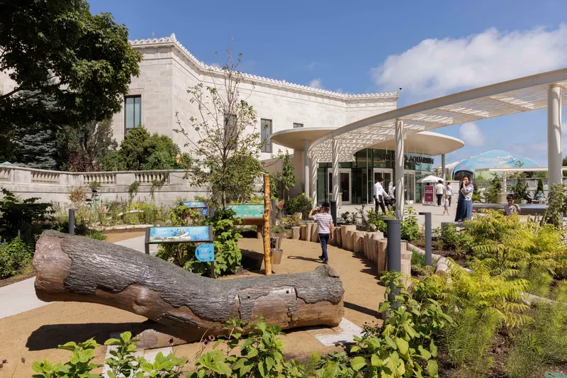 Shedd aquarium nature play site design group