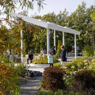 Green canvas for community and creativity