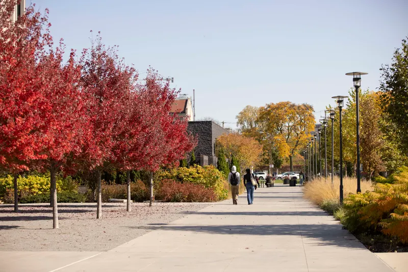 University of chicago campus south walk pathway site design group
