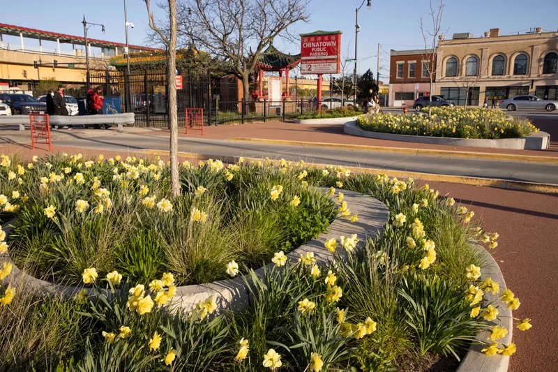 Wentworth wells connector planting site design group